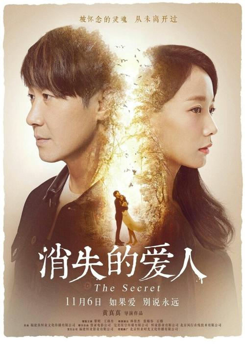 做个中国银行柜台转账凭条